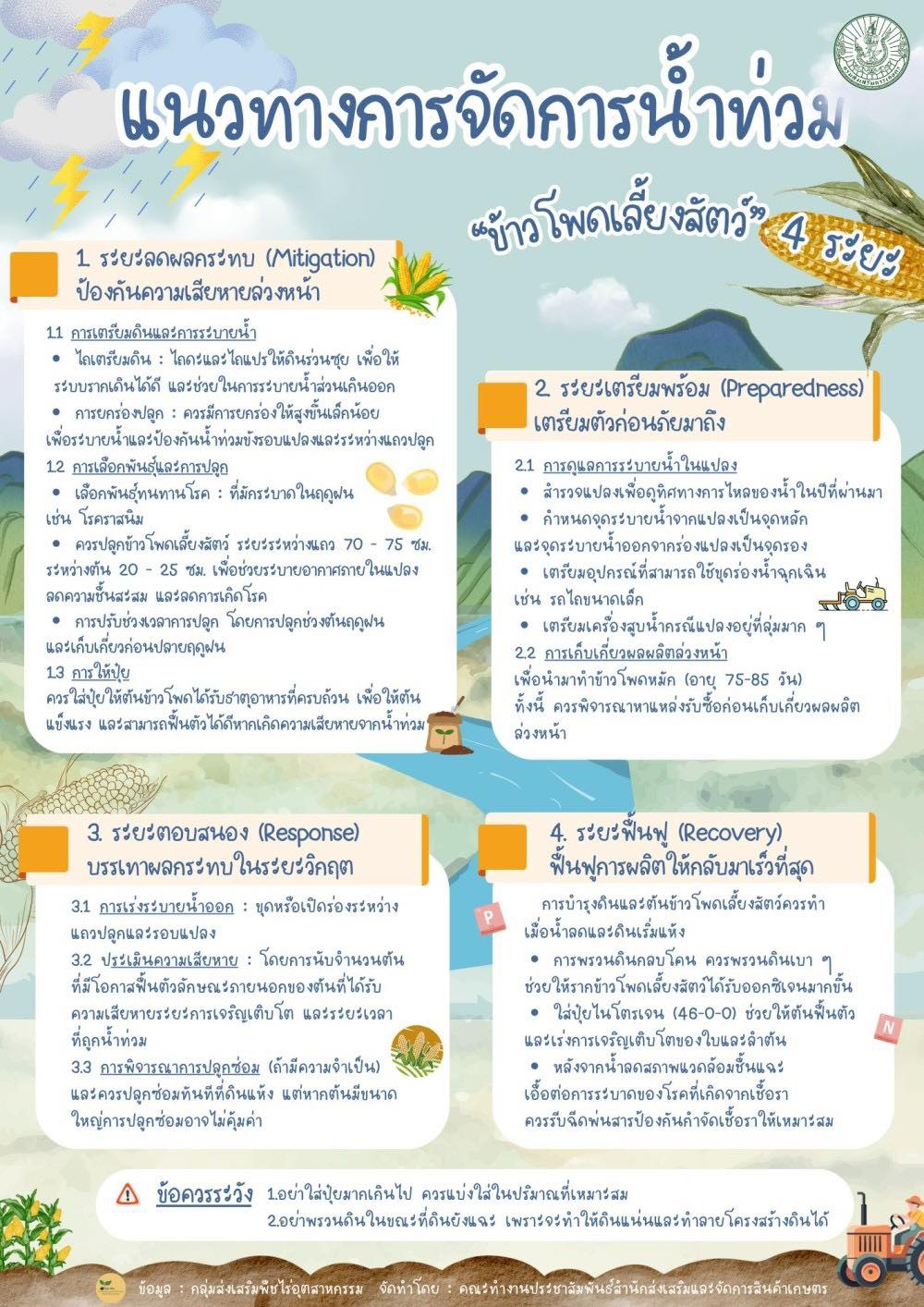 แนวทางการจัดการน้ำท่วม ข้าวโพดเลี้ยงสัตว์ 4 ระยะ