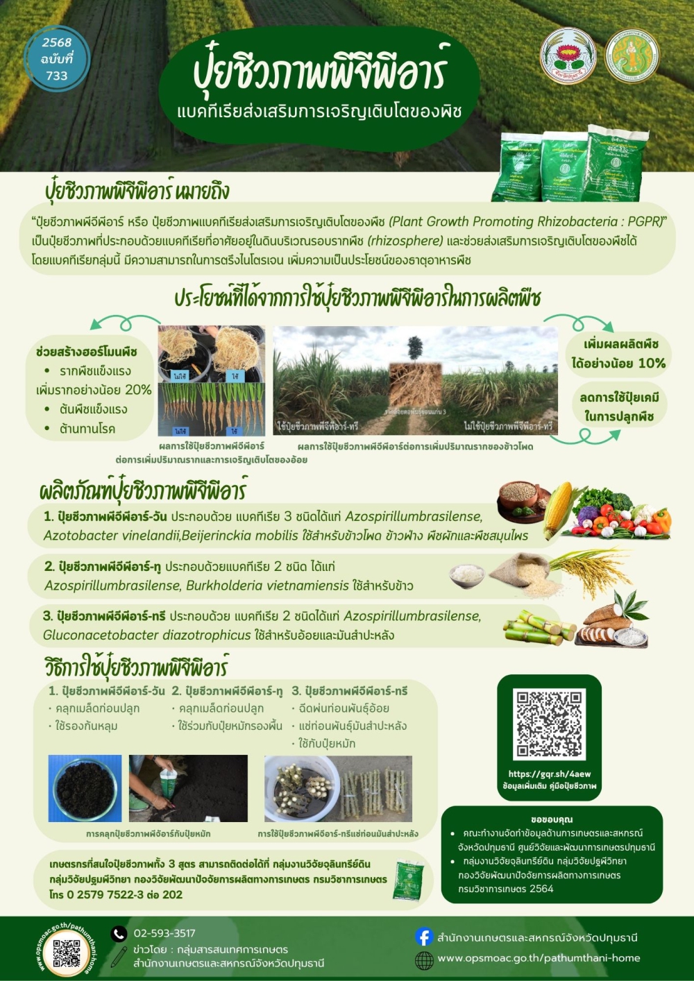 ของดีต้องรู้ ปุ๋ยชีวภาพ PGPR นวัตกรรมช่วยพืชโต