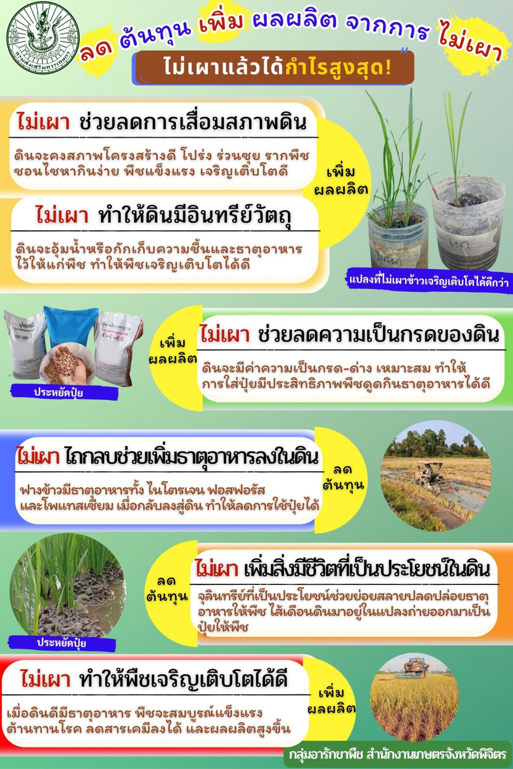 ลดต้นทุนเพิ่มผลผลิตจากการไม่เผา