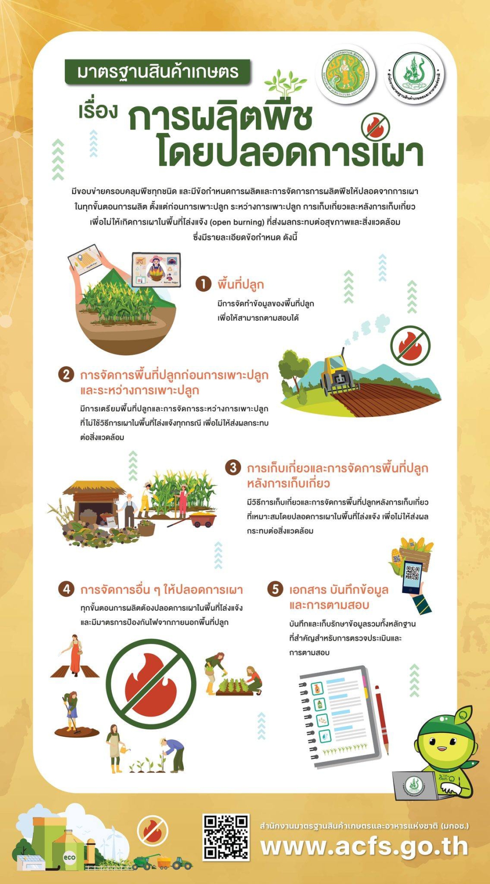 การผลิตพืชให้ปลอดจากการเผา