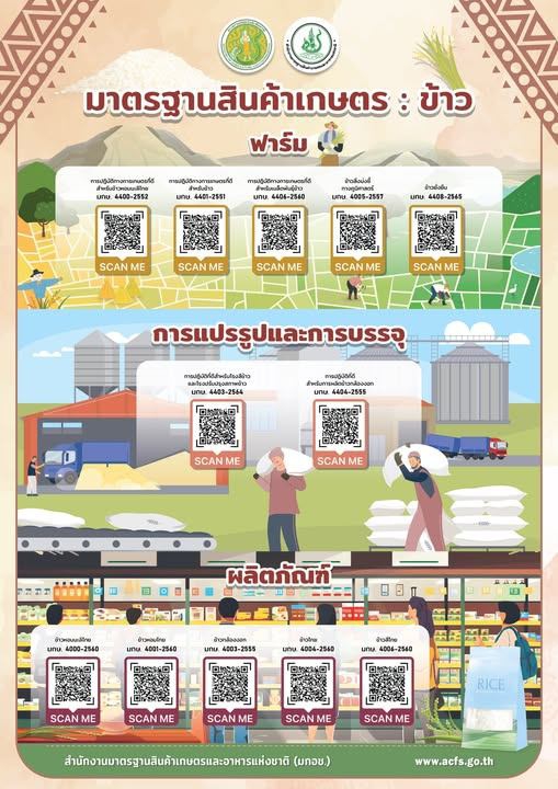 ยกระดับมาตรฐานข้าวไทย…ตั้งแต่แปลงนา