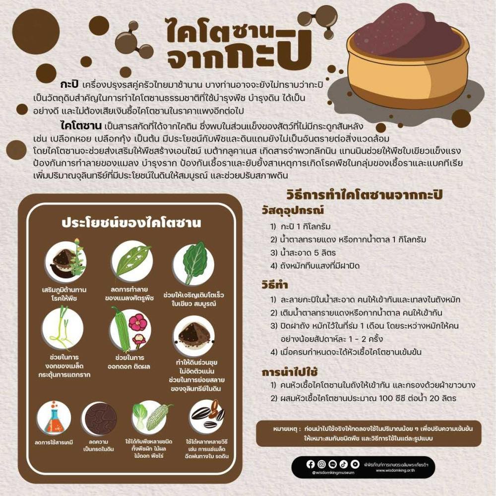 ไคโตซาน จากกะปิ