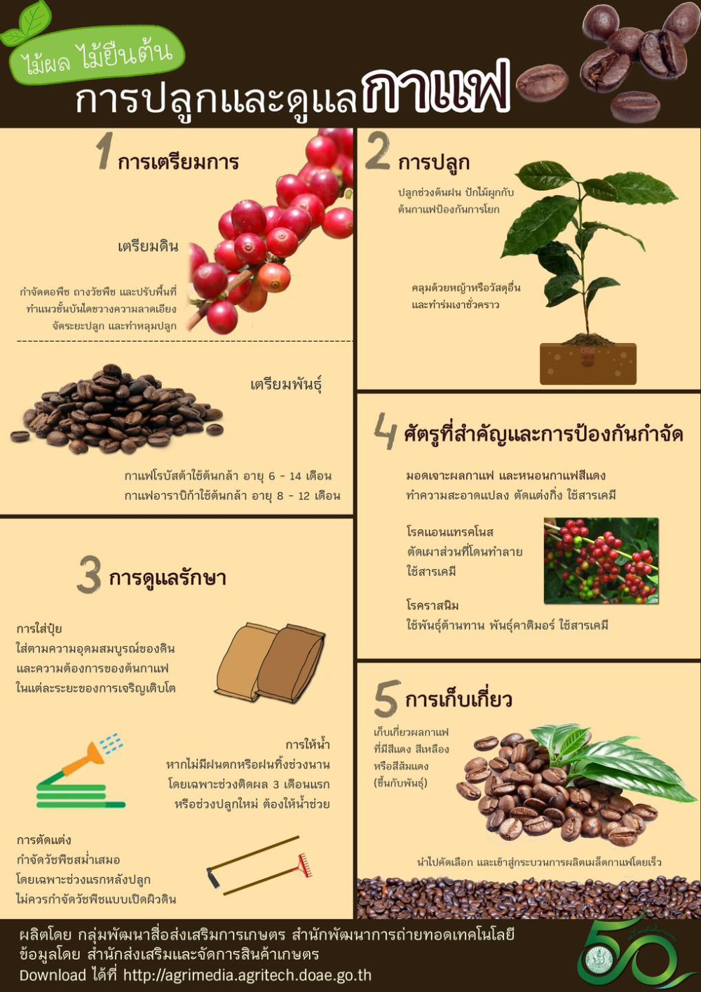 การปลูกและดูแลกาแฟ