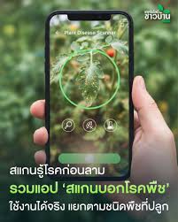 รวมแอป‘สแกนบอกโรคพืช’ใช้งานได้จริง