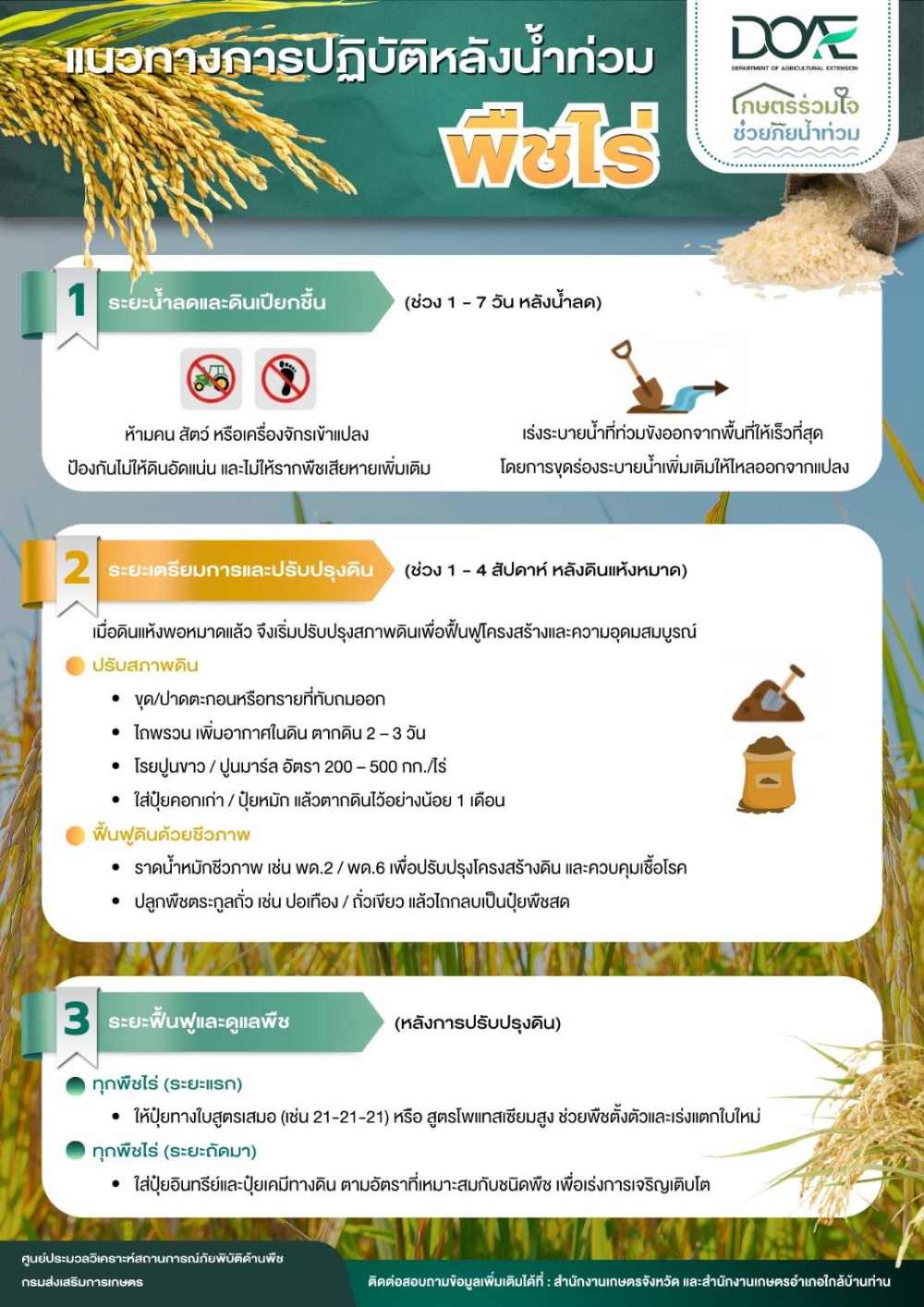 แนวทางปฏิบัติหลังน้ำท่วมในพืชไร่