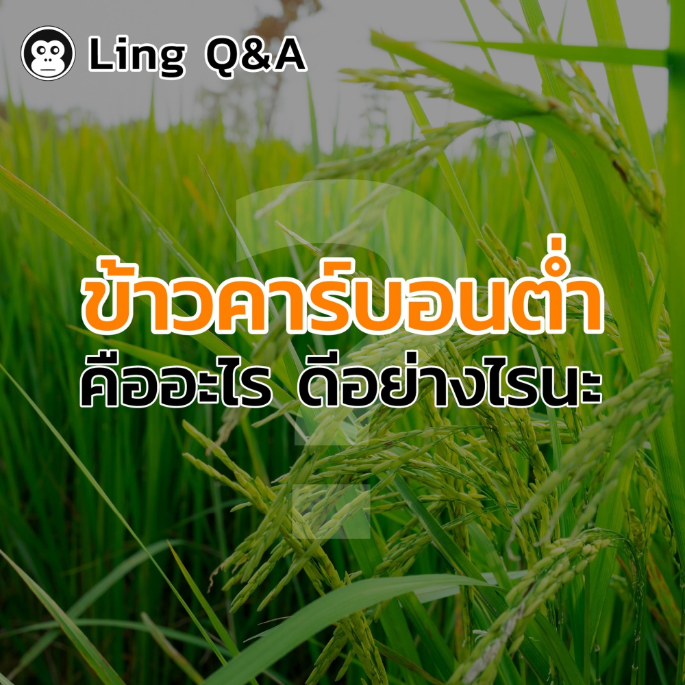 ข้าวคาร์บอนต่ำคืออะไร ดีอย่างไรนะ