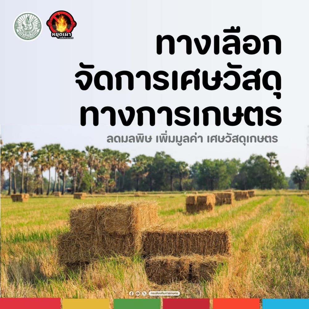 ทางเลือก จัดการเศษวัสดุทางการเกษตร