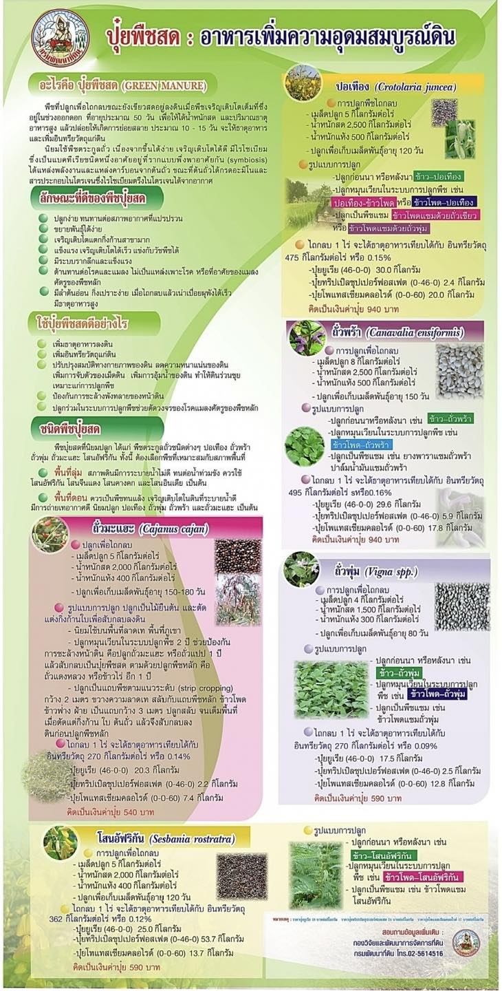 ปุ๋ยพืชสด : อาหารเพิ่มความอุดมสมบูรณ์ดิน