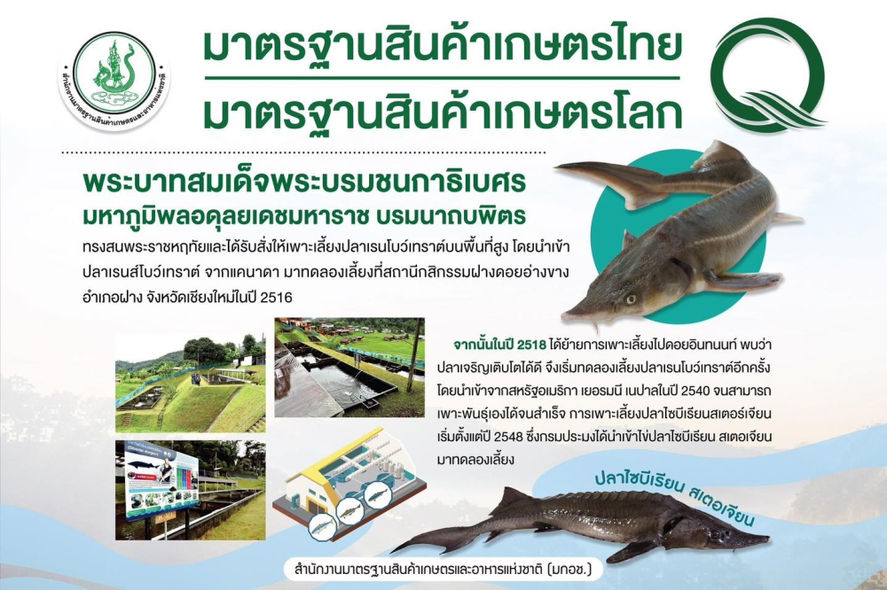 พัฒนาการเพาะเลี้ยงปลาและมาตรฐานสินค้าเกษตรตามแนวพระราชดำริ