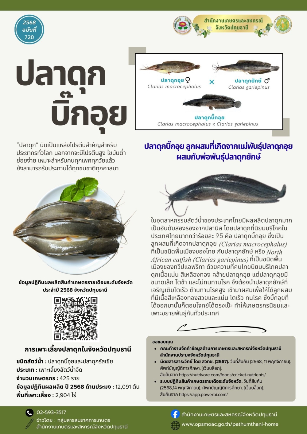 ทำไมต้องปลาดุกบิ๊กอุย