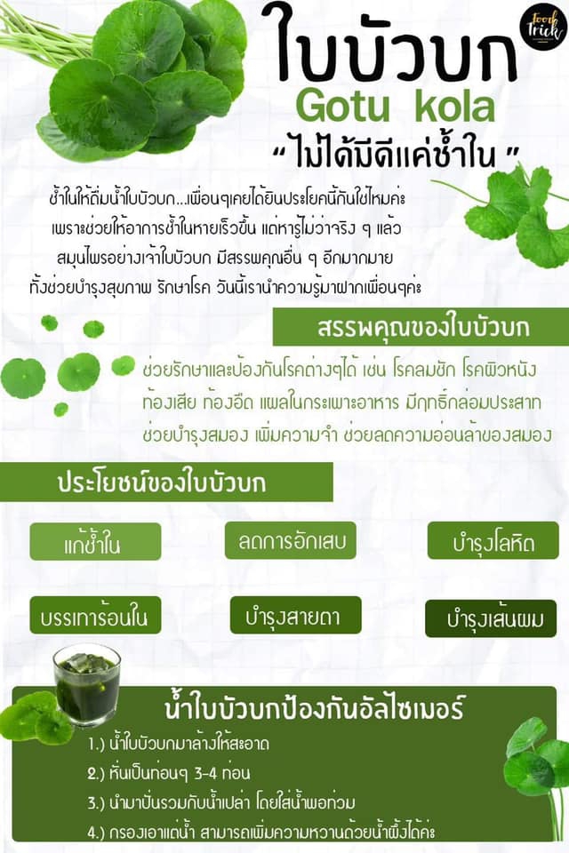 ใบบัวบก ไม่ได้มีดีแค่ช้ำใน