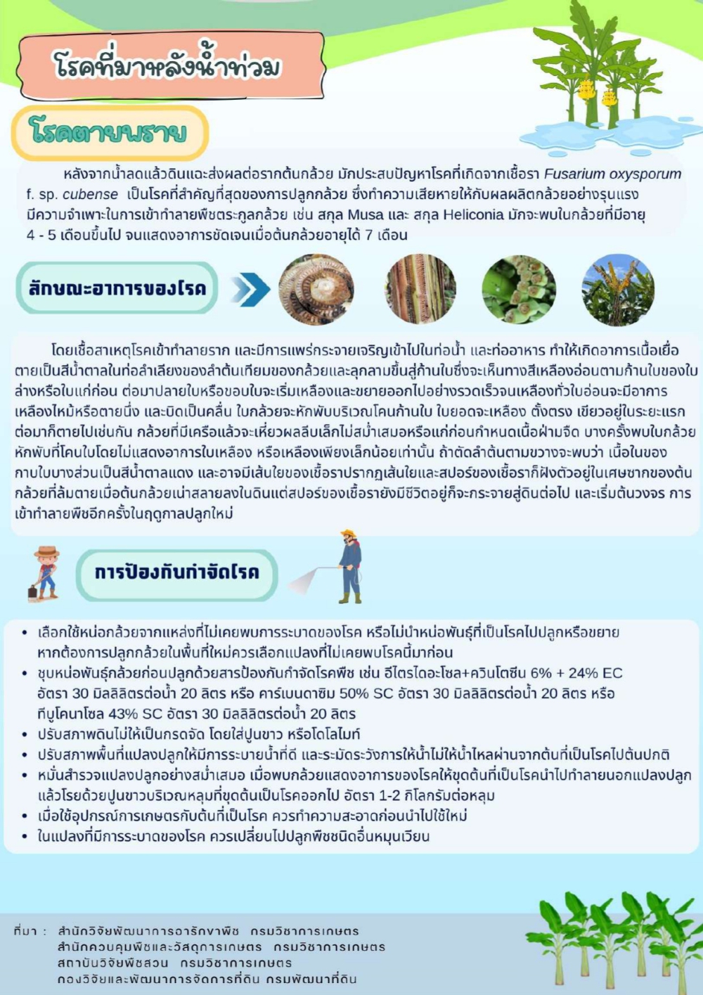 โรคที่มาหลังน้ำท่วม