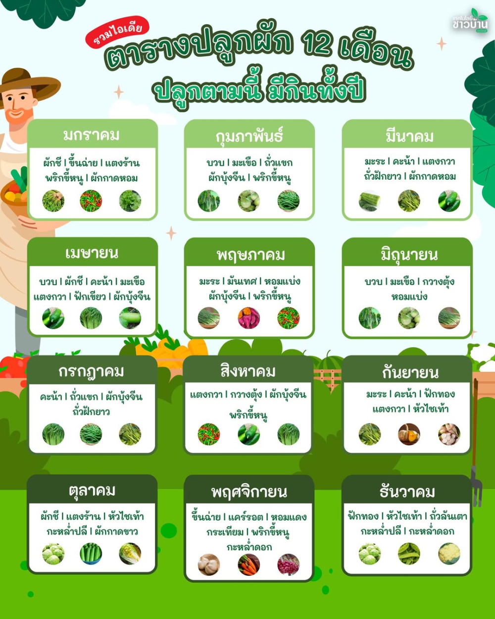 ตารางปลูกผัก 12 เดือน ปลูกตามนี้ มีกินทั้งปี