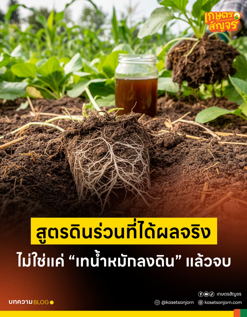 สูตรดินร่วนที่ได้ผลจริง