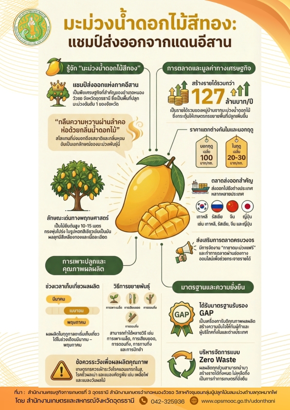 มะม่วงน้ำดอกไม้สีทอง แชมป์ส่งออกจากแดนอีสาน