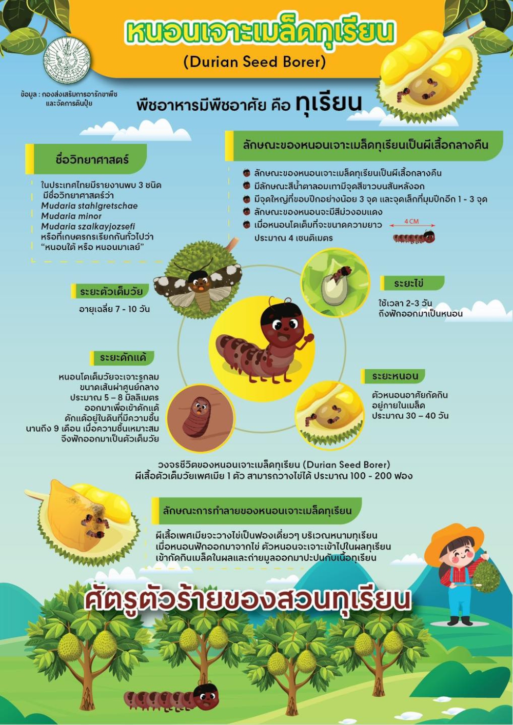 หนอนเจาะเมล็ดทุเรียน ศัตรูตัวร้ายของสวนทุเรียน