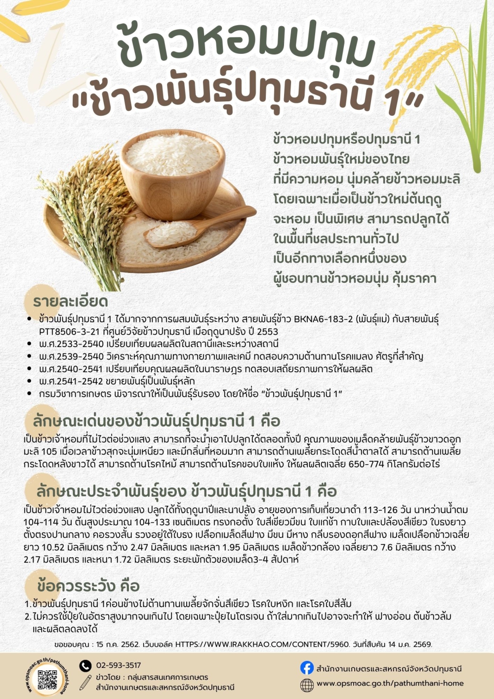 ข้าวหอมปทุม หรือ ข้าวพันธุ์ปทุมธานี 1