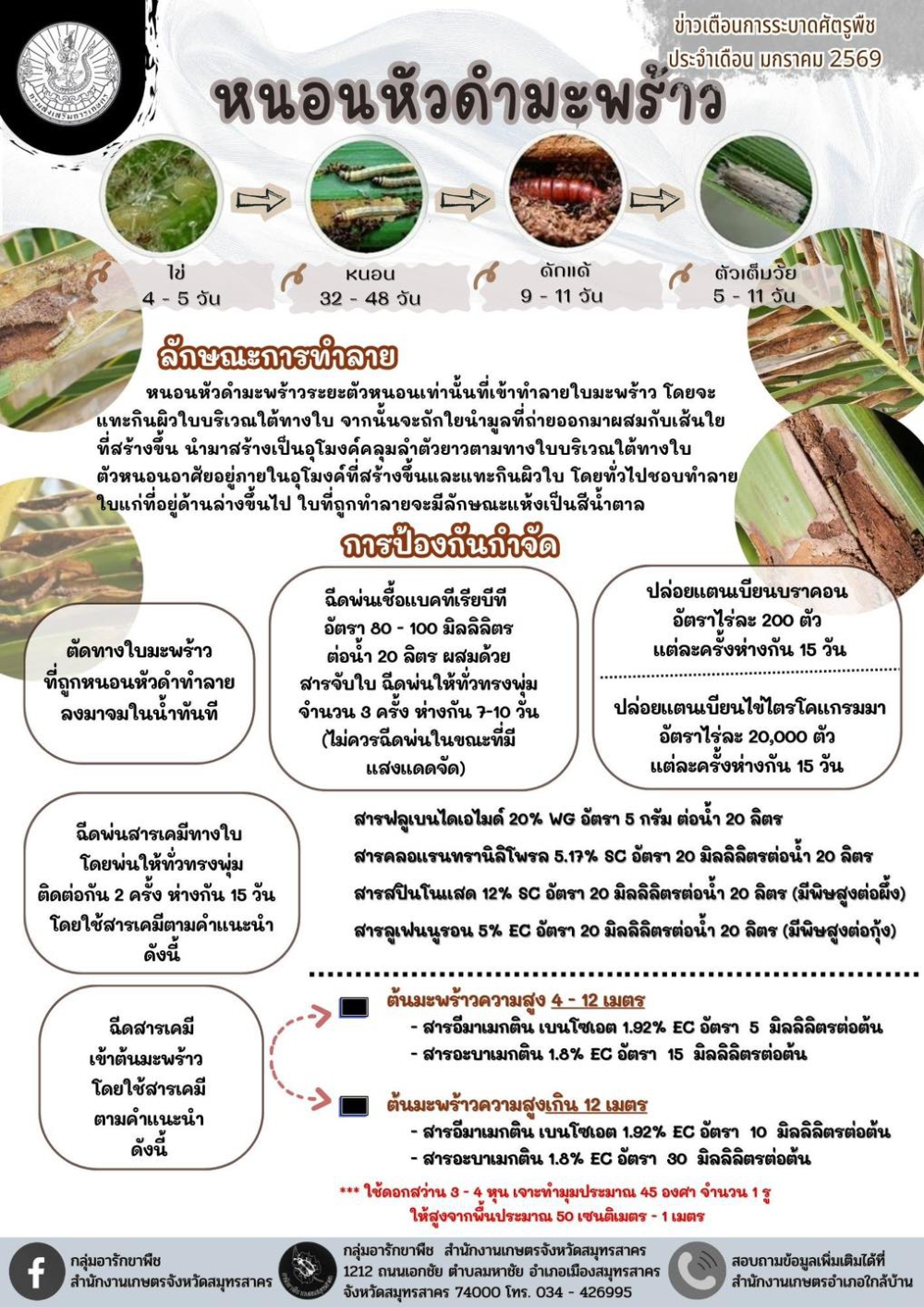 หนอนหัวดำมะพร้าว..