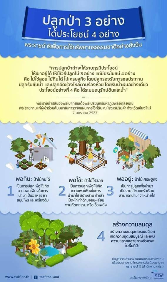 ปลูกป่า 3 อย่าง ได้ประโยชน์ 4 อย่าง