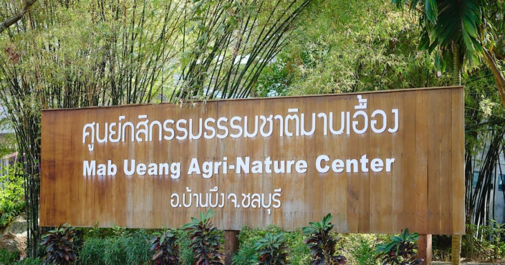 เดินทางสู่“ป่ามาบเอื้อง”ชลบุรีเปิดหัวใจ