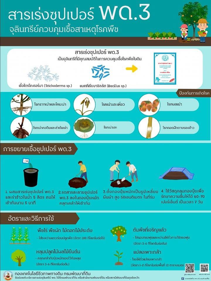 สารเร่งซุปเปอร์พด.3จุลินทรีย์ควบคุมเชื้อสาเหตุโรคพืช