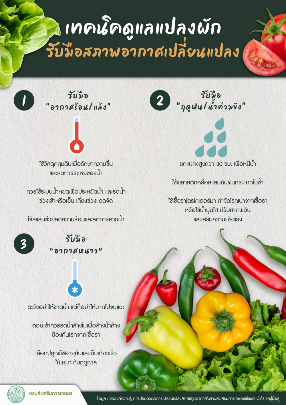 เทคนิคดูแลแปลงผักรับมือสภาพอากาศเปลี่ยนแปลง