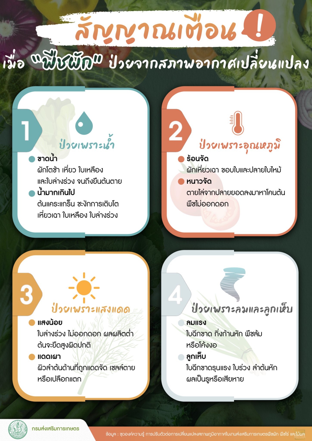 สัญญาณเตือนเมื่อ พืชผัก ป่วยจากสภาพอากาศเปลี่ยนแปลง