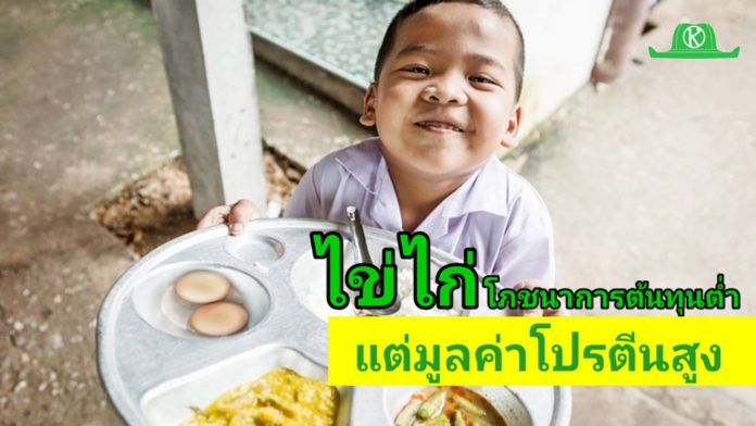 “ไข่ไก่”โภชนาการต้นทุนต่ำ