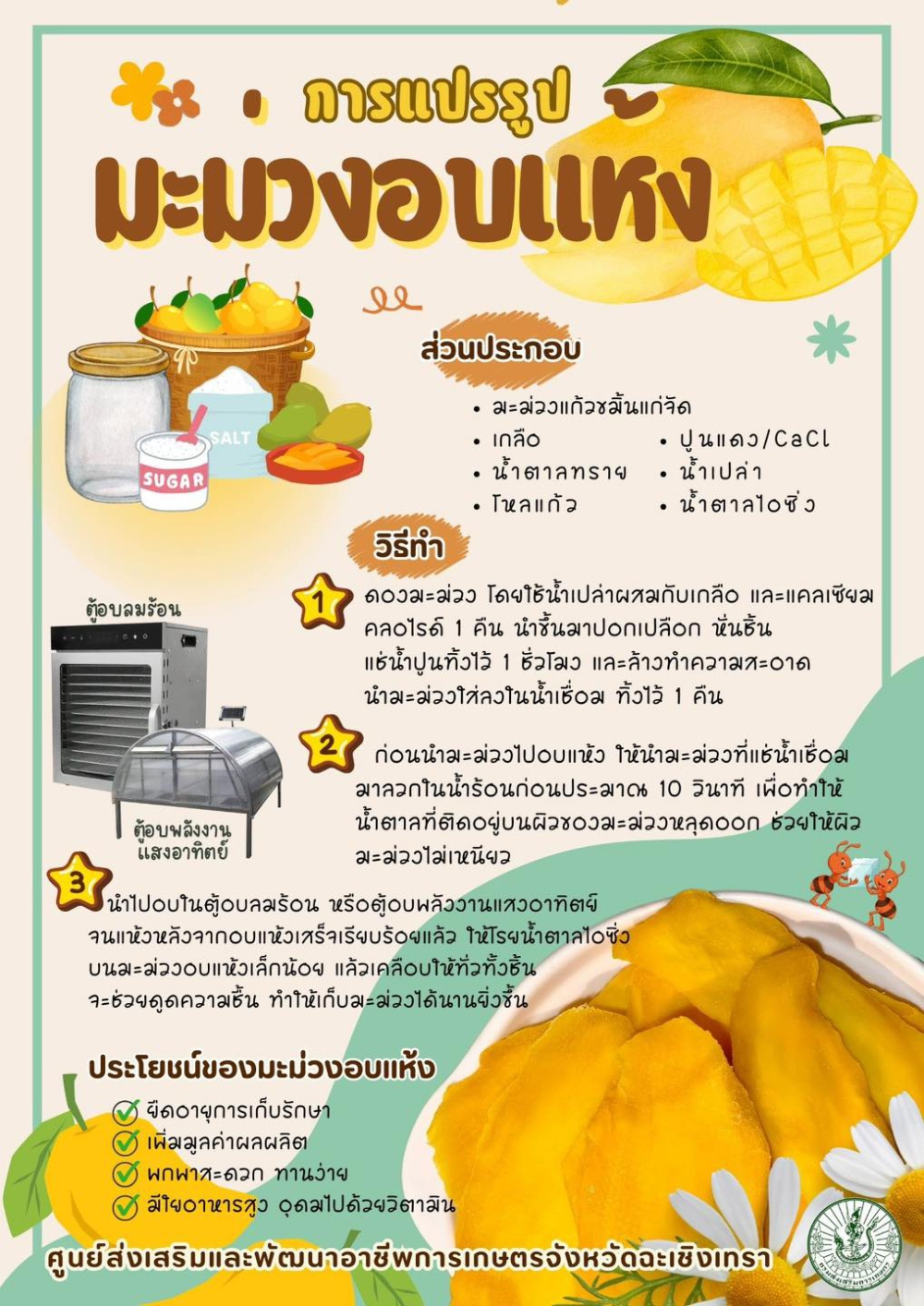 การแปรรูปมะม่วงอบแห้ง