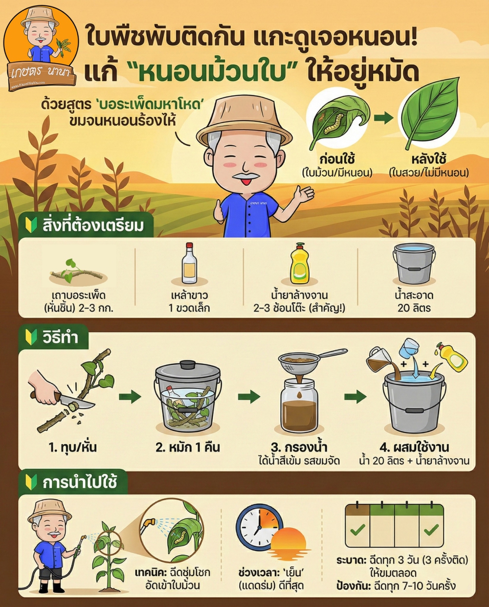 ใบพืชพับติดกันแกะดูเจอหนอน!แก้หนอนม้วนใบ