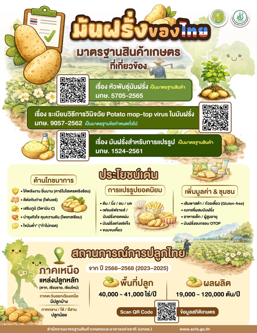 มันฝรั่งไทยได้มาตรฐานตั้งแต่แปลงปลูกถึงแปรรูป…ยกระดับคุณภาพ