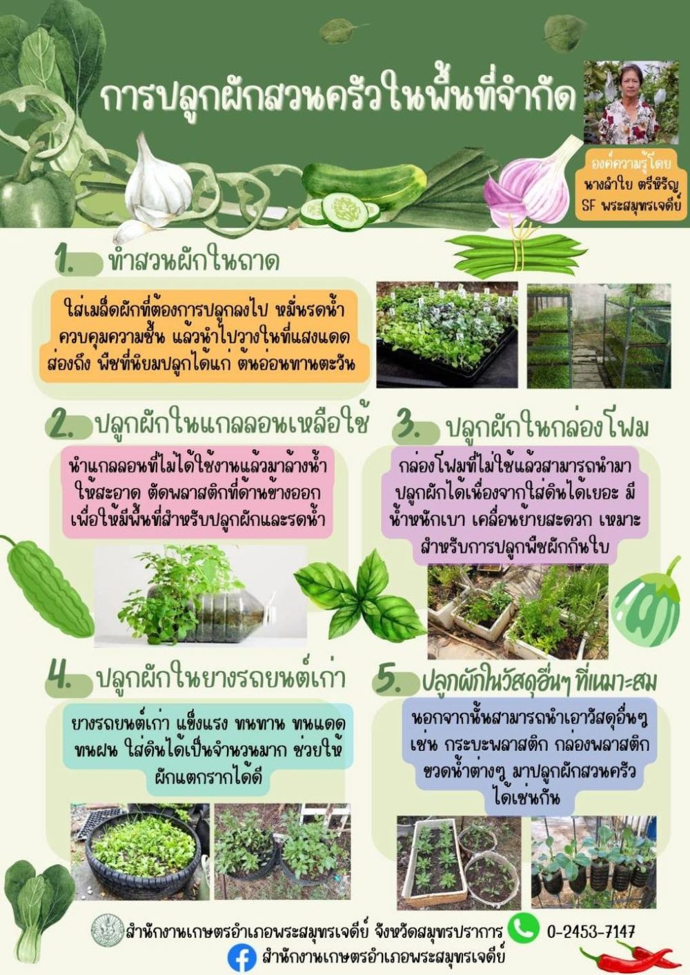 การปลูกผักสวนครัวในพื้นที่จำกัด