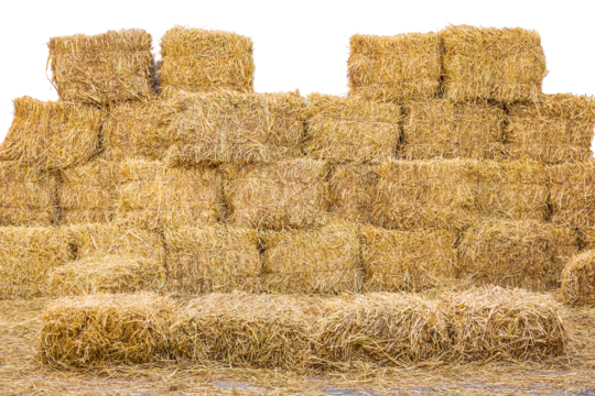 ธุรกิจ ฟางข้าวอัดก้อน ลงทุนน้อย กำไรงาม