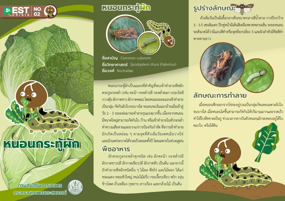 หนอนกระทู้ผัก
