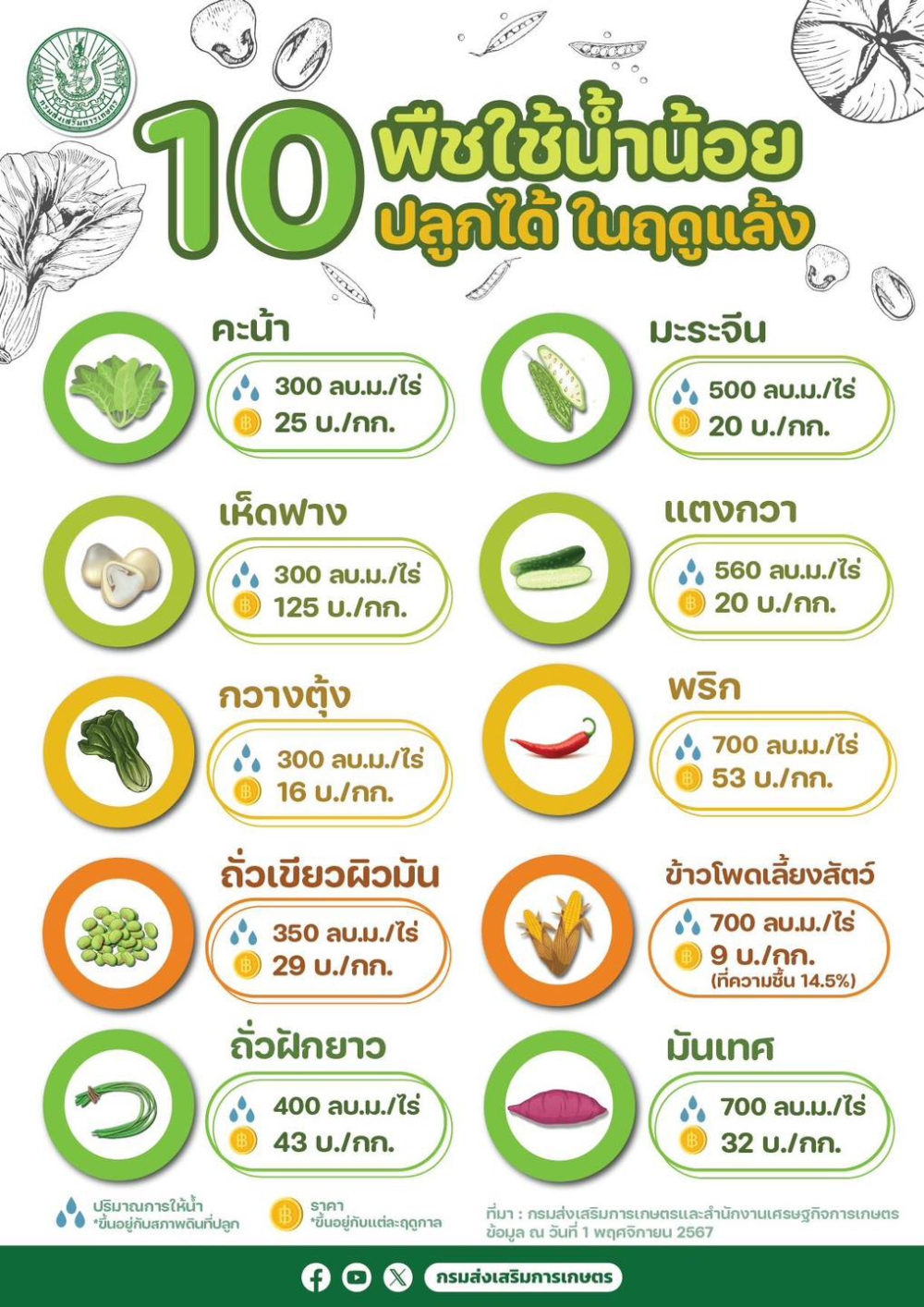 10 พืขใช้น้ำน้อยปลุกได้ในฤดูแล้ง