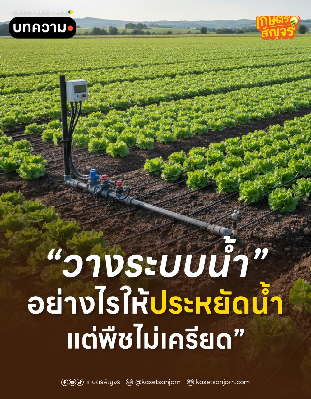 วางระบบน้ำอย่างไร ให้ “ประหยัดน้ำ แต่พืชไม่เครียด”