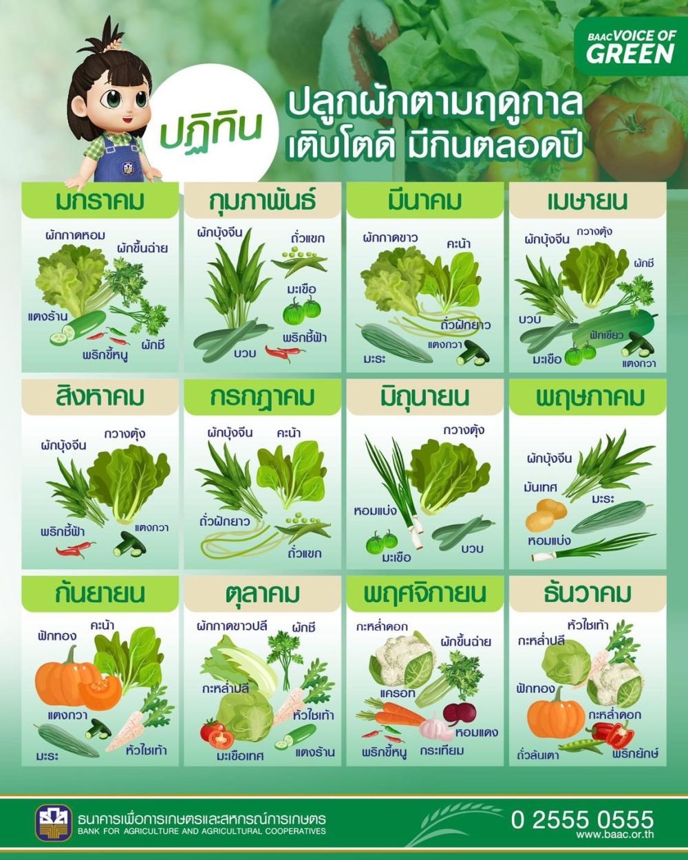 ปฏิทินปลูกตามฤดูกาล