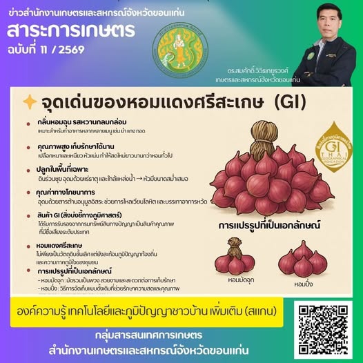 หอมแดงศรีสะเกษ มีเอกลักษณ์เฉพาะตัว เป็นสินค้า GI
