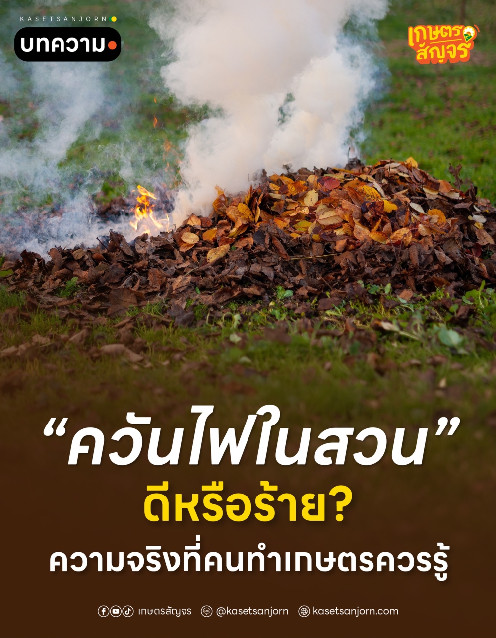 “ควันไฟในสวน” ดีหรือร้าย? ความจริงที่คนทำเกษตรควรรู้
