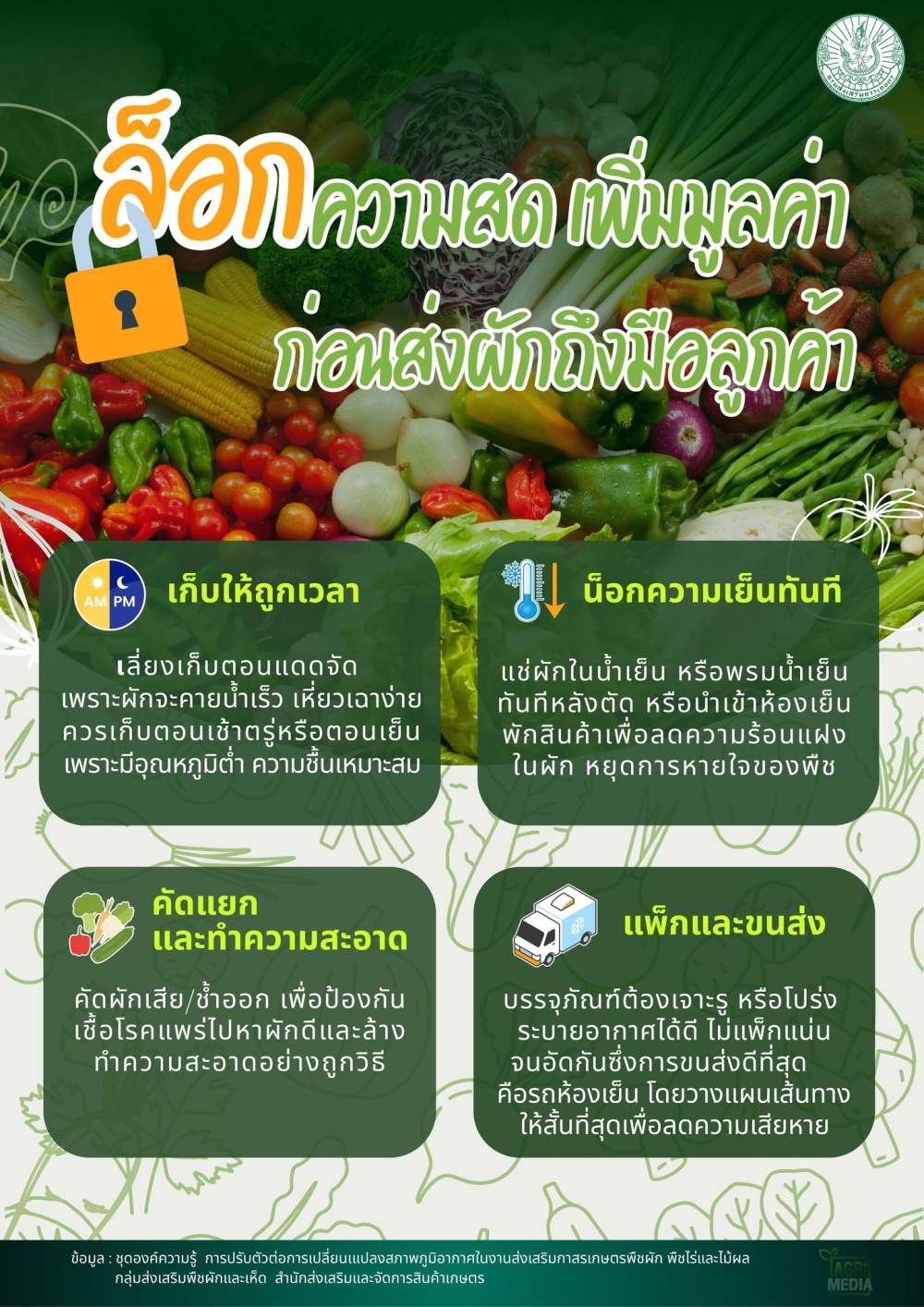 4ขั้นตอนล็อกความสดเพิ่มมูลค่าก่อนส่งผักถึงมือลูกค้า