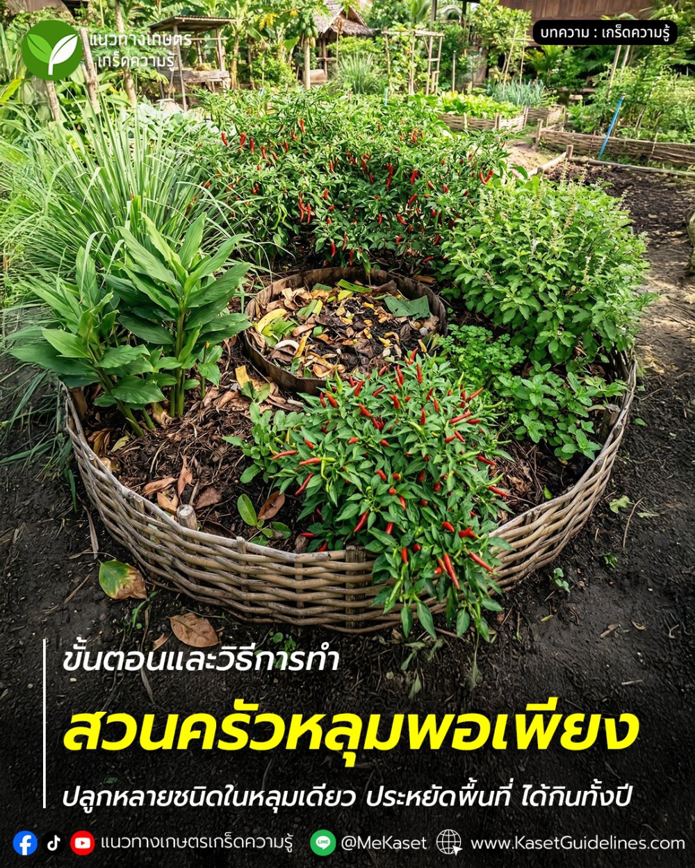 สวนครัวหลุมพอเพียง