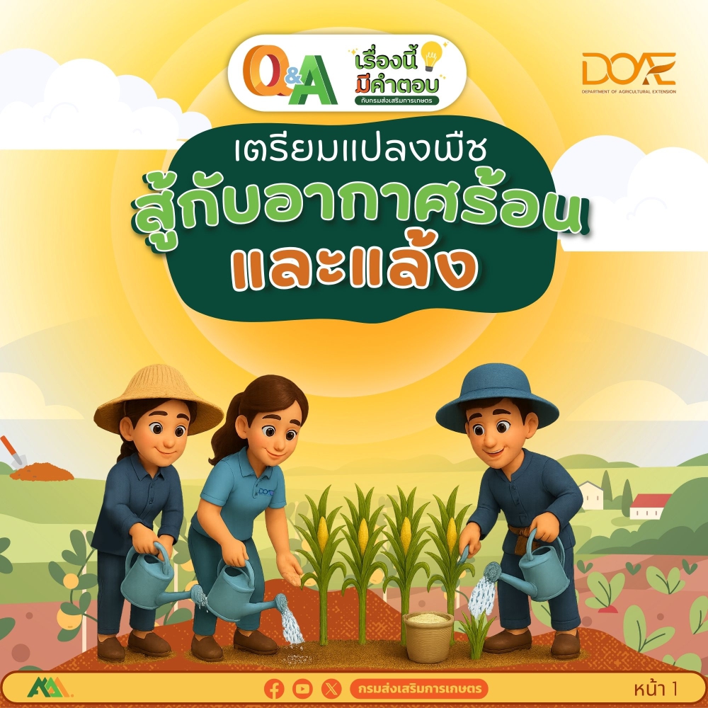 เตรียมแปลงพืชสู้กับอากาศร้อนและแล้ง