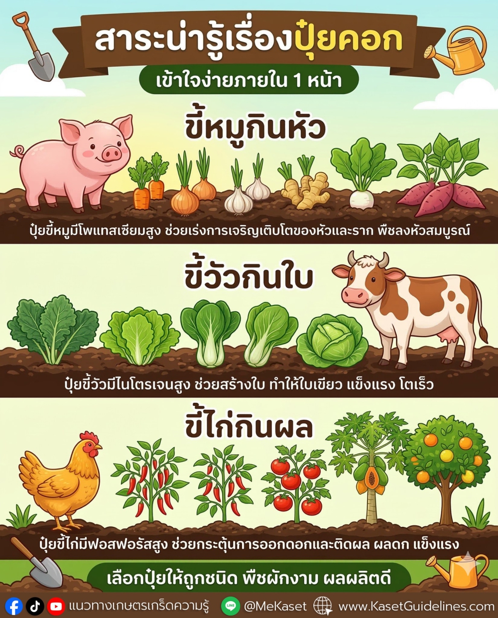 สาระน่ารู้เรื่องปุ๋ยคอก