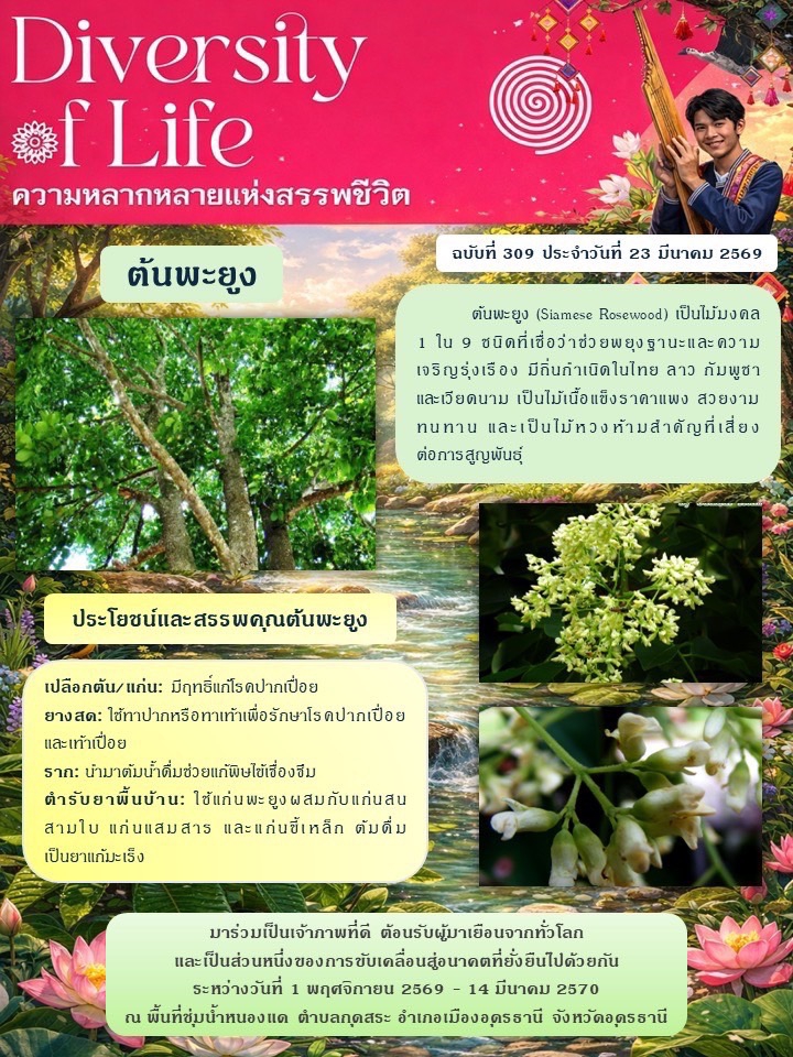 ร่วมกันเป็นเจ้าภาพที่ดี