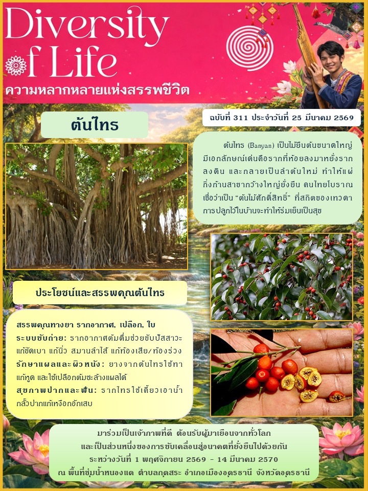 ร่วมกันเป็นเจ้าภาพที่ดี