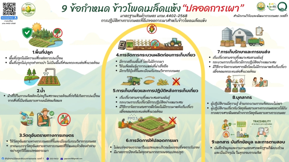 9 ข้อกำหนด ข้าวโพดเมล็ดแห้ง ปลอดการเผา