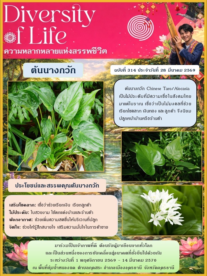 ร่วมกันเป็นเจ้าภาพที่ดี