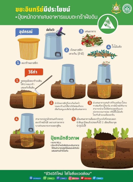 ขยะอินทรีย์มีประโยชน์