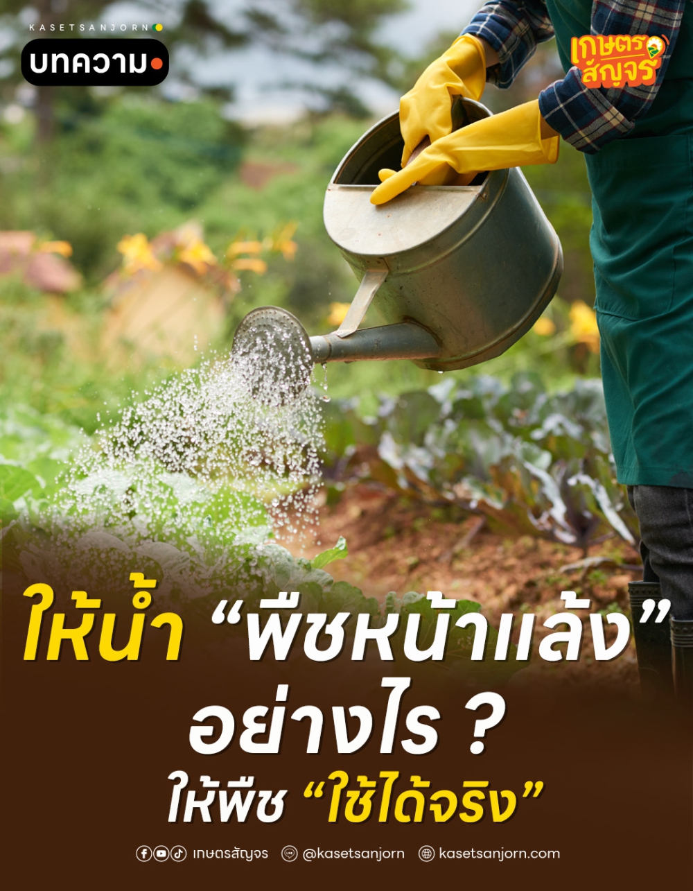 ให้น้ำพืชหน้าแล้งอย่างไร