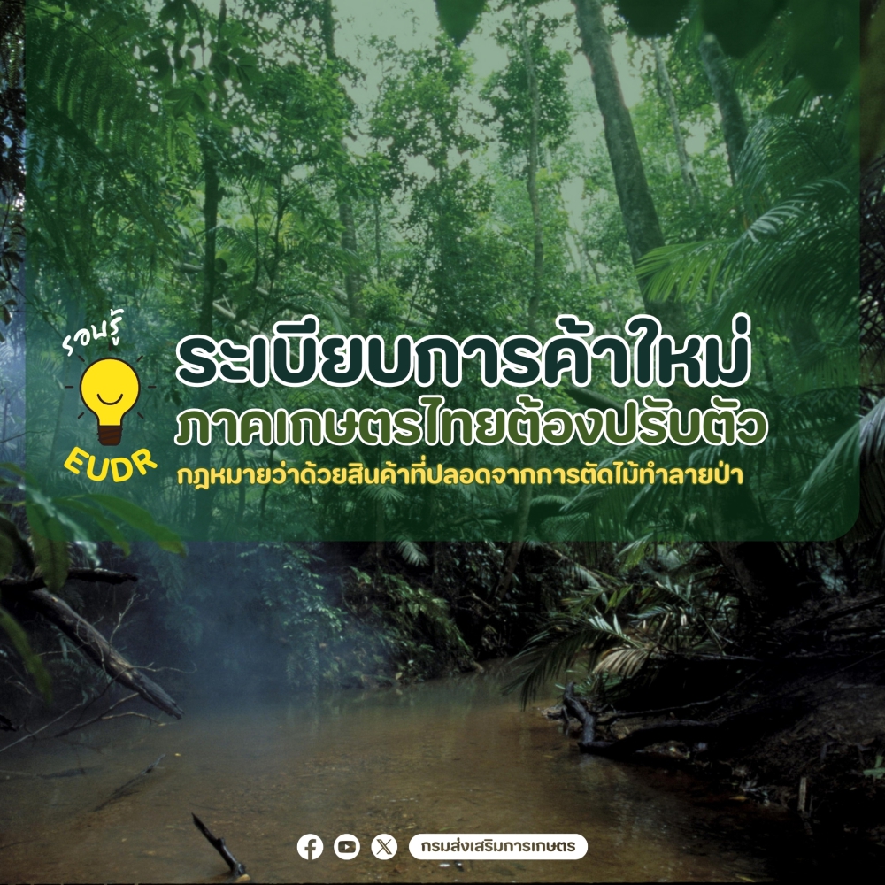 EUDR ระเบียบการค้าใหม่ ภาคเกษตรไทยต้องปรับตัว